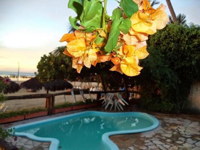 Pousada Vira Sol Hotel Trairi Bagian luar foto